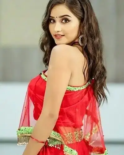 Call Girls Service Homnabad